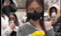 娱乐群里有多少人吃瓜,揭秘瓜分众生相